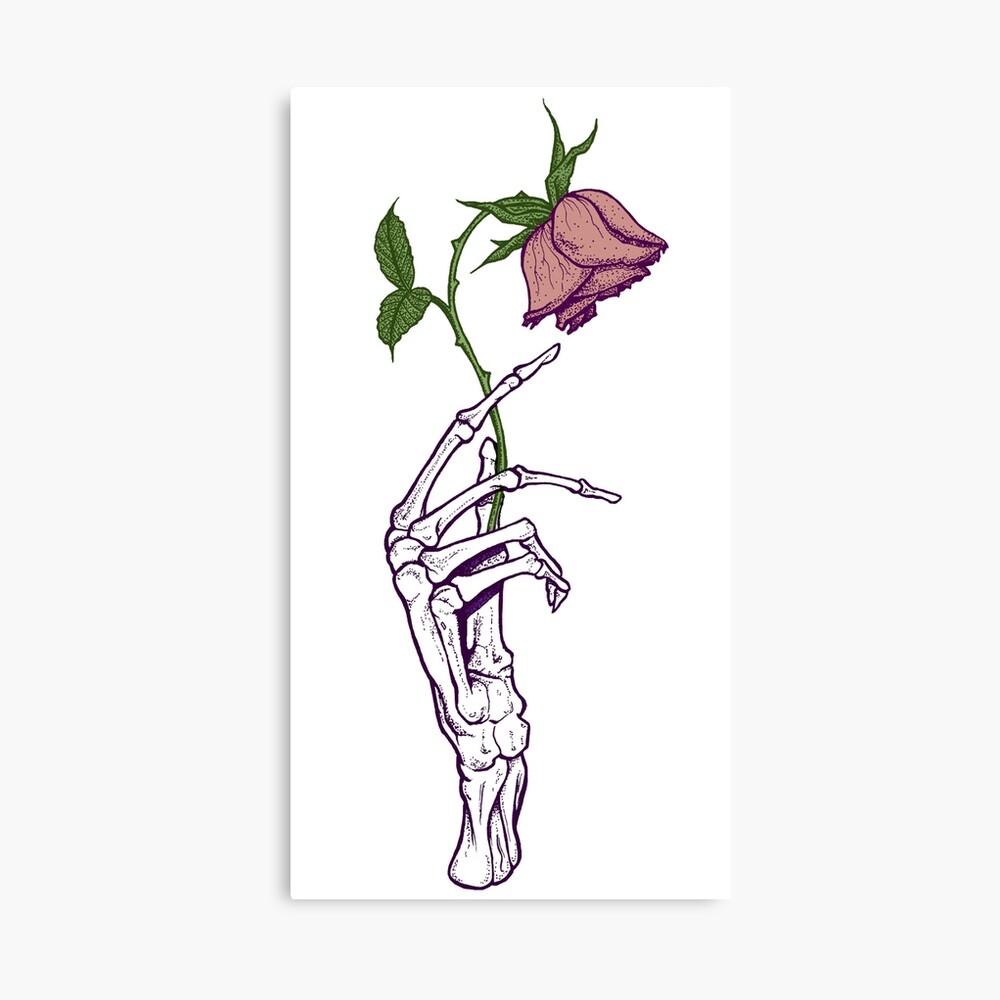 dead rose flower drawing