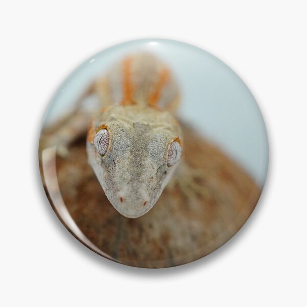 Item preview, Gargoyle Gecko designed and sold by jettzelfelix.