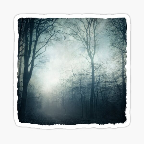 Item preview, Dark Paths - Misty Forest on a November day designed and sold by Dyrk Wyst Redbubble Shop.
