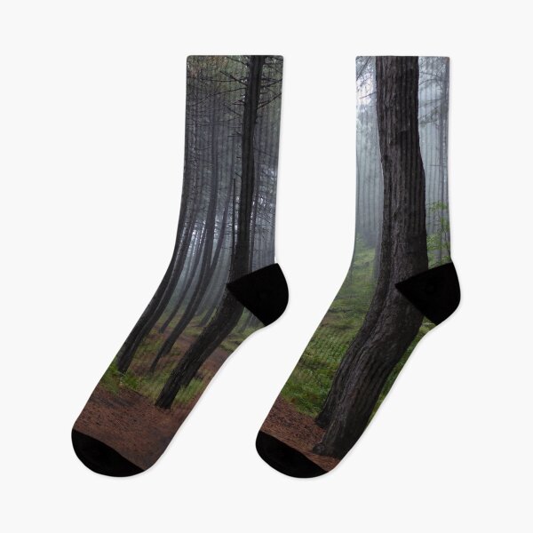 Item preview, Long Forest Walk eleven Forest Road Trip  designed and sold by tamal778.