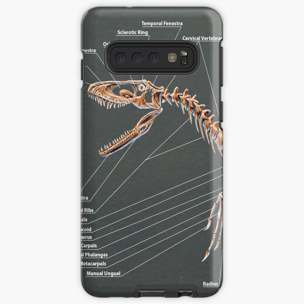 dakotaraptor skeleton