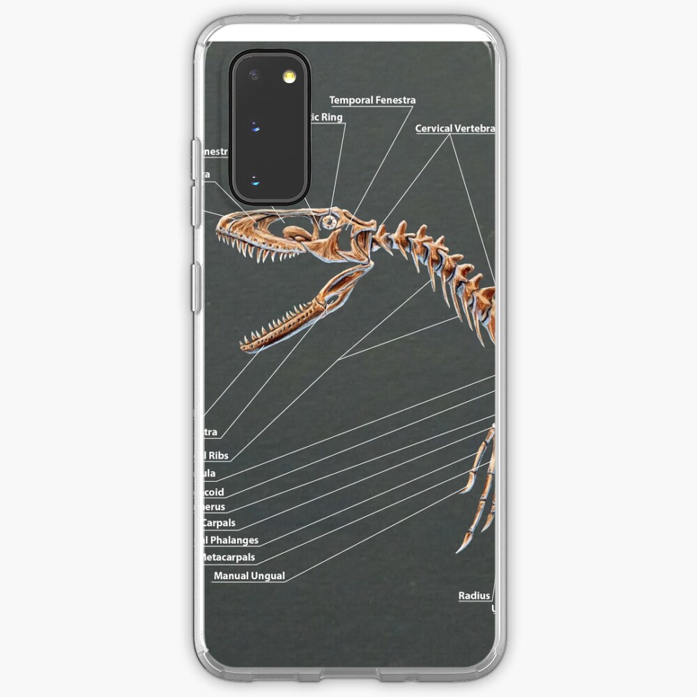 dakotaraptor skeleton