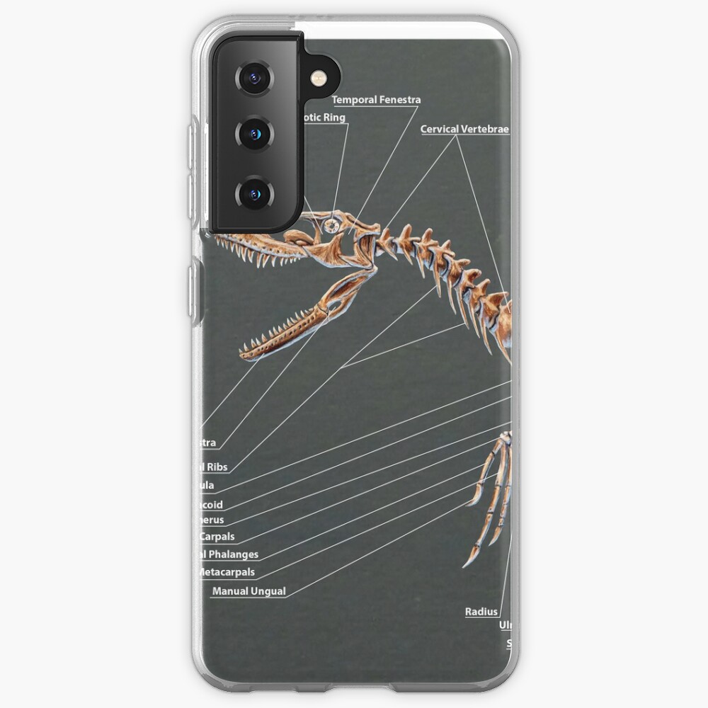 dakotaraptor skeleton