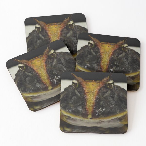 Item preview, Horned Frog (aurita) designed and sold by jettzelfelix.