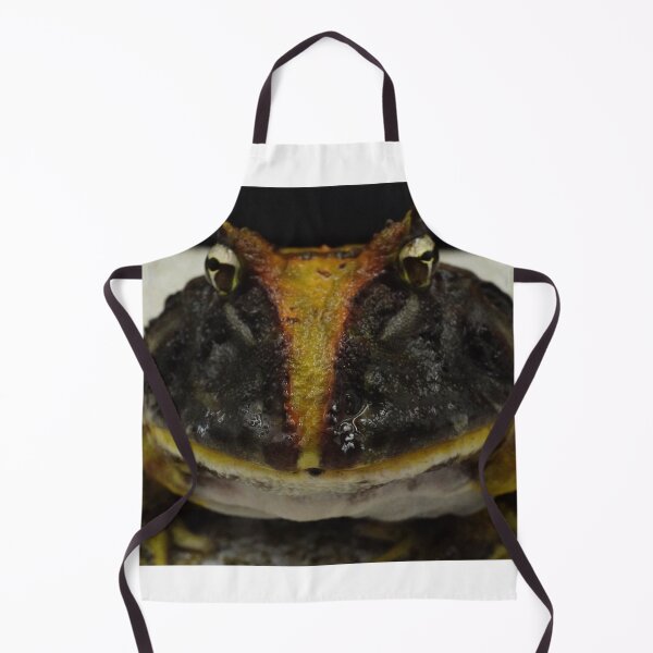 Item preview, Horned Frog (aurita) designed and sold by jettzelfelix.