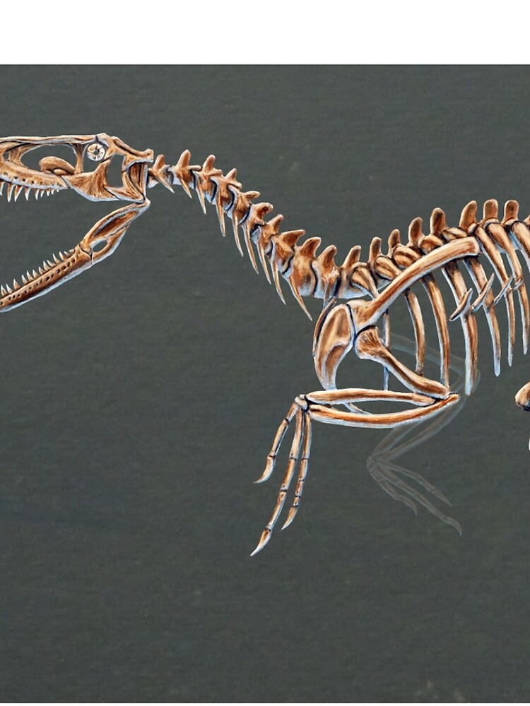dakotaraptor skeleton