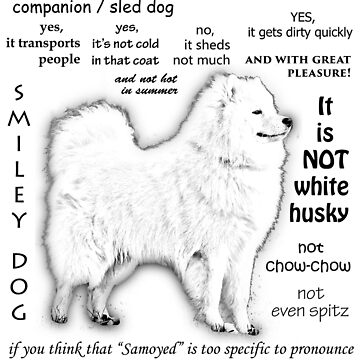 Artwork thumbnail, Samoyed. FAQ. Grown Up by smileydoggy