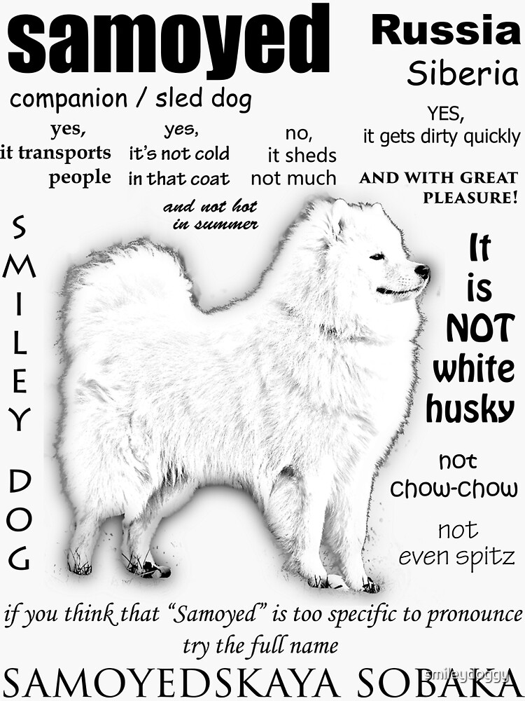 Thumbnail 3 of 3, Sticker, Samoyed. FAQ. Grown Up designed and sold by smileydoggy.