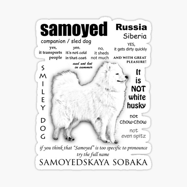 Item preview, Samoyed. FAQ. Grown Up designed and sold by smileydoggy.