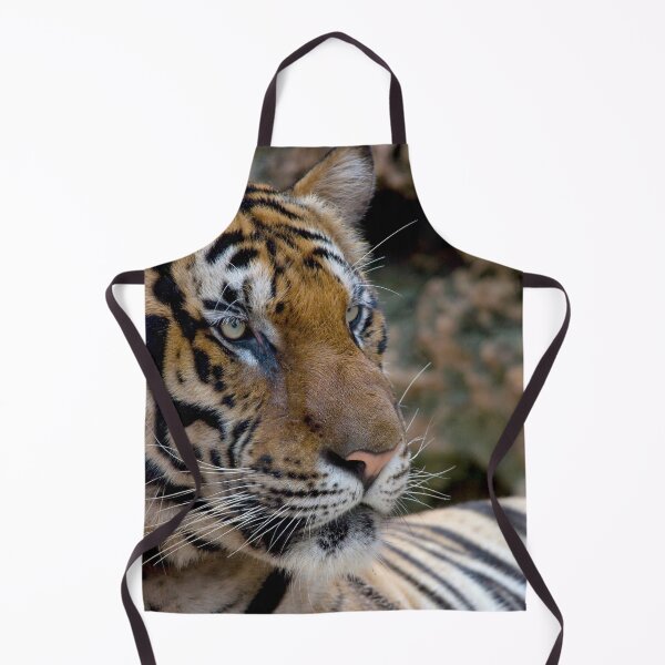 Item preview, Bengal tiger close-up designed and sold by Melissa Peltenburg.