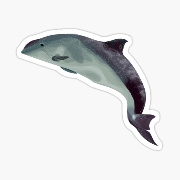 Harbor porpoise Sticker