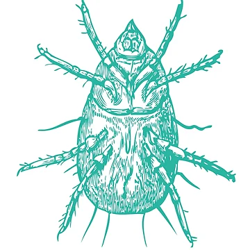 Artwork thumbnail, Bedbug by RBBll