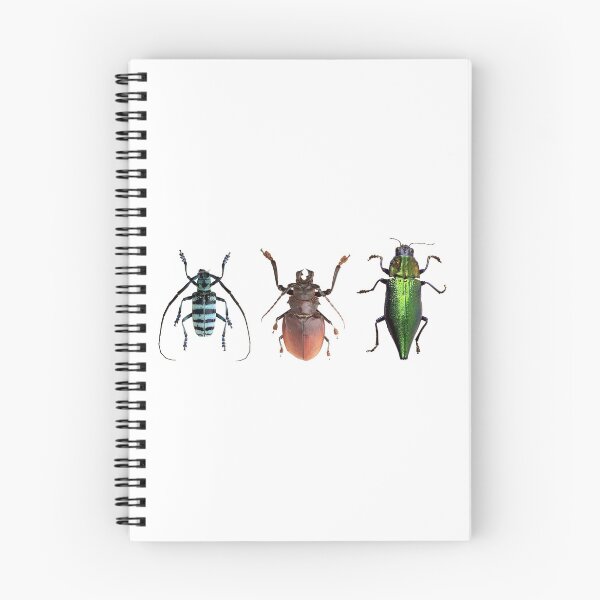 Item preview, Bug Beetle Insects Species Coleoptera Beetles Animals Colorful  designed and sold by DOM-Shop.