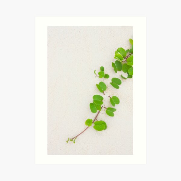 Tropical foliage on the beach Art Print