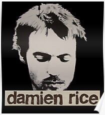 Póster Damien Rice Camiseta