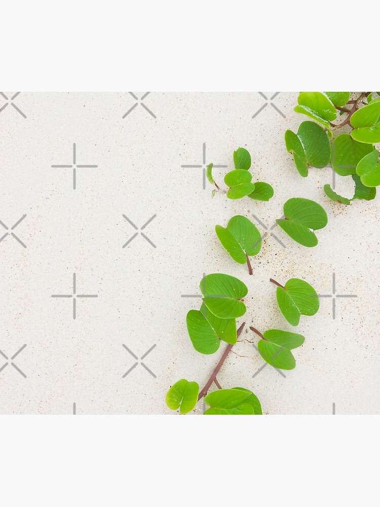 Tropical foliage on the beach by Reislegende