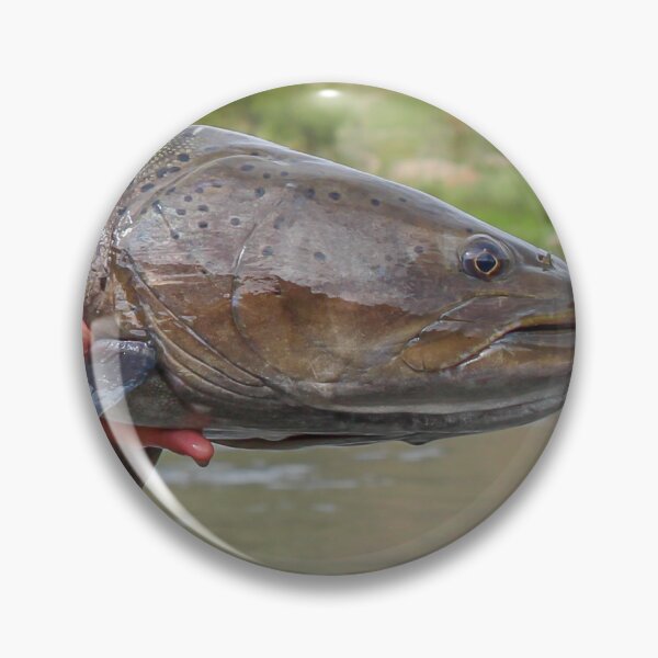 Item preview, Close up of a large Taimen fish, the largest salmonid in the world designed and sold by SnapTPhotograph.