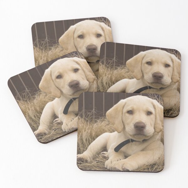 Item preview, Labrador Retriever dog with flowers pet puppy cute sweet dogs designed and sold by Coolstuff4you71.