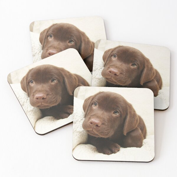 Item preview, Labrador Retriever dog pet puppy cute sweet dogs designed and sold by Coolstuff4you71.
