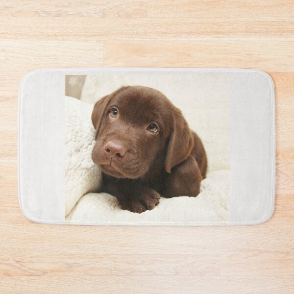 Item preview, Labrador Retriever dog pet puppy cute sweet dogs designed and sold by Coolstuff4you71.