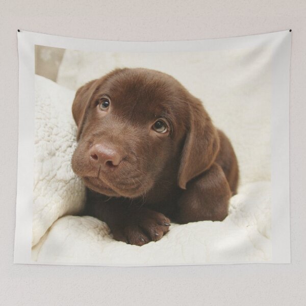 Item preview, Labrador Retriever dog pet puppy cute sweet dogs designed and sold by Coolstuff4you71.