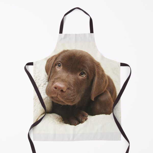 Item preview, Labrador Retriever dog pet puppy cute sweet dogs designed and sold by Coolstuff4you71.