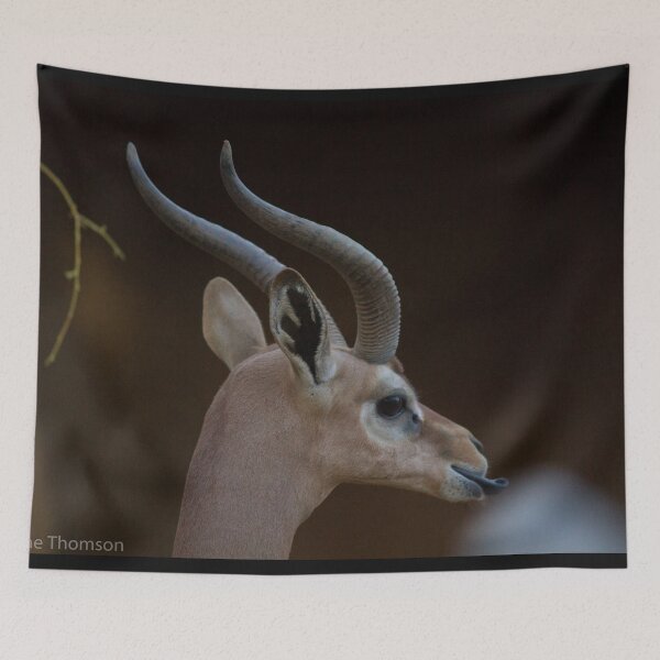 Item preview, Majestic Antelope designed and sold by Wayne Thomson.