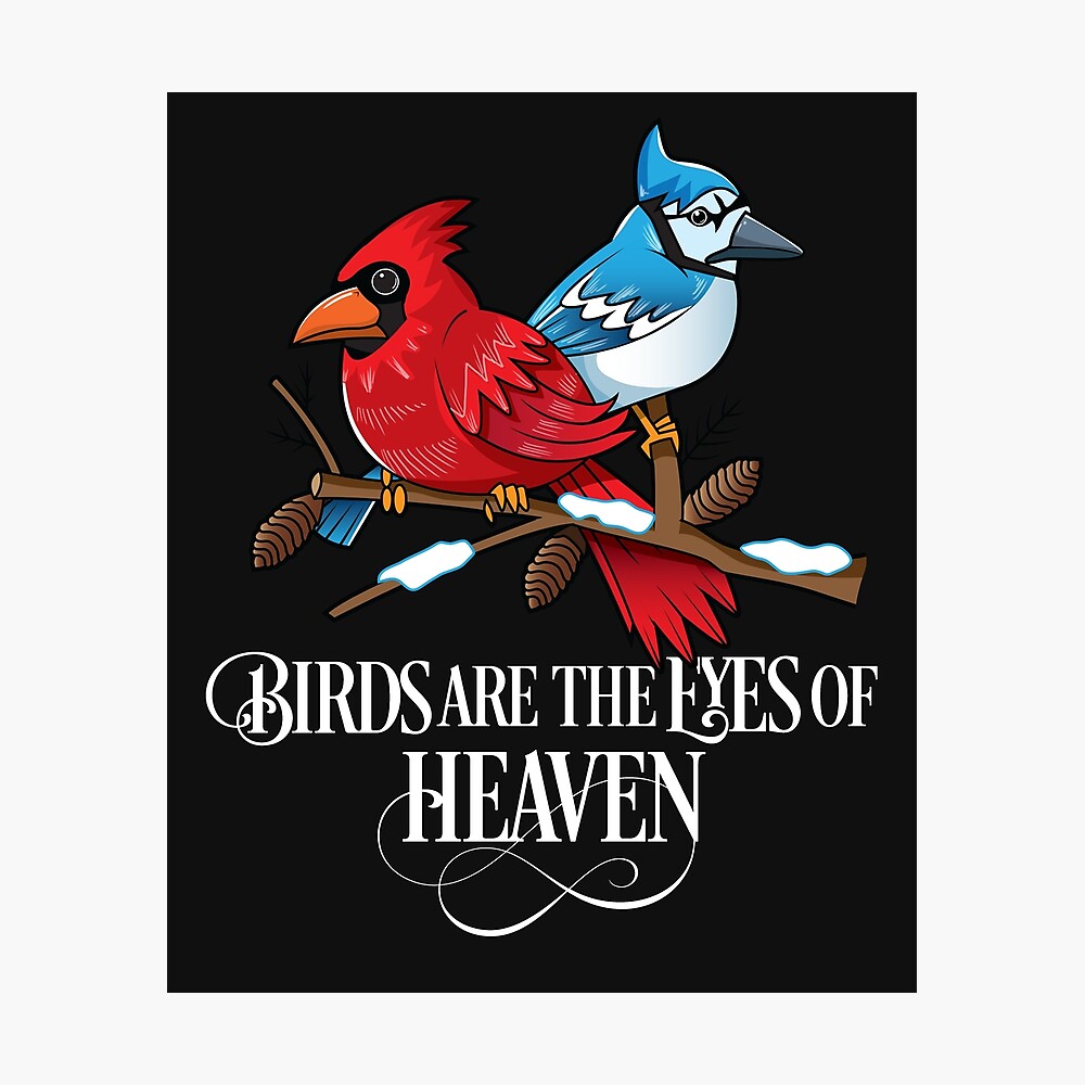 Blue Jay Bird Hugging Northern Cardinal Poster by alwe-designs