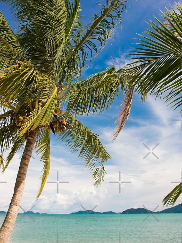 Waving palm trees, tropical destination by Reislegende