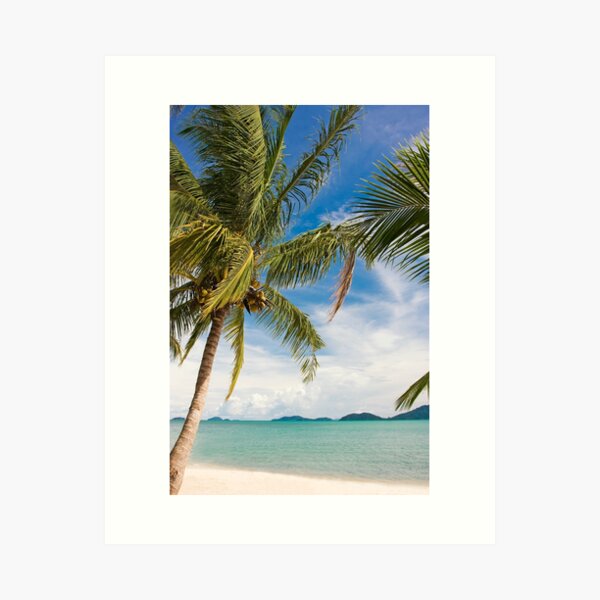 Waving palm trees, tropical destination Art Print
