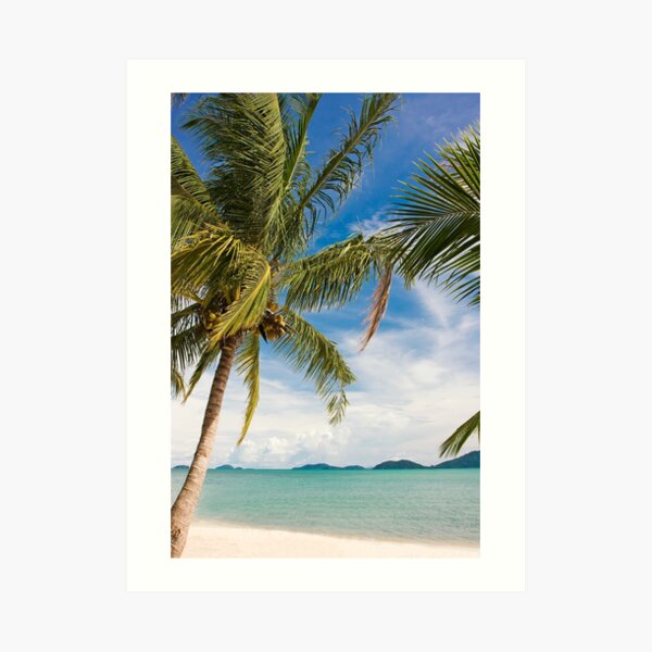 Waving palm trees, tropical destination Art Print