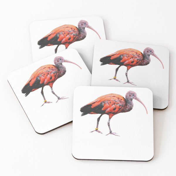 Item preview, Scarlet Ibis designed and sold by Shopini.