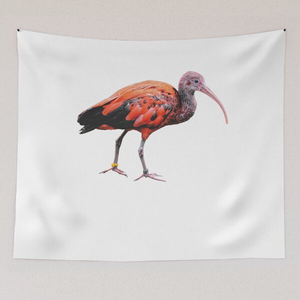 Item preview, Scarlet Ibis designed and sold by Shopini.