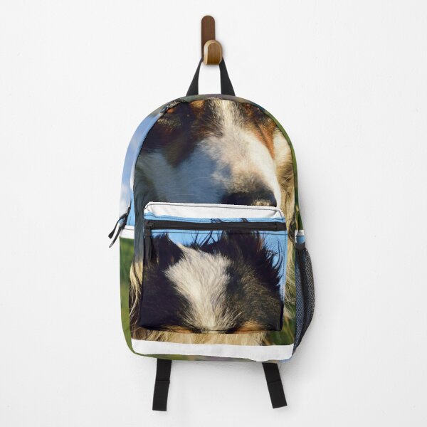 Item preview, Laddie looks ahead. designed and sold by Michael Haslam.