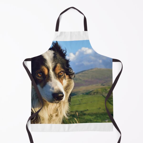 Item preview, Laddie looks ahead. designed and sold by Michael Haslam.