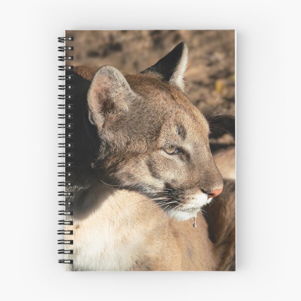 Item preview, Mountain Lion After a Drink designed and sold by MomentofPercep.