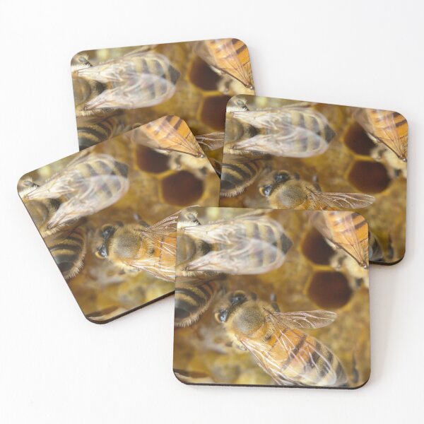 Item preview, Honey Bees Beehive Image Beekeeping Decor For Beekeepers designed and sold by JDMHoney.