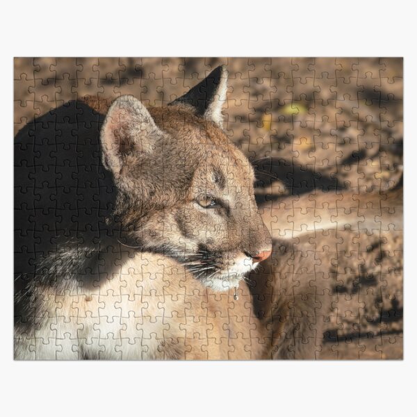 Mountain Lion After a Drink Jigsaw Puzzle