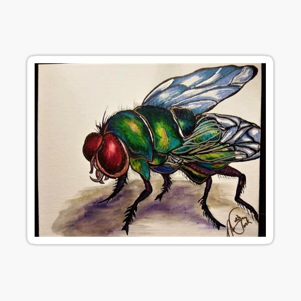 Fly Sticker