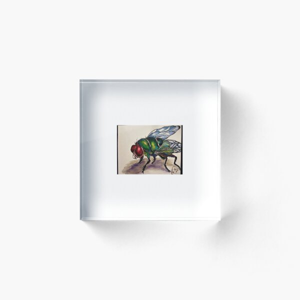Fly Acrylic Block