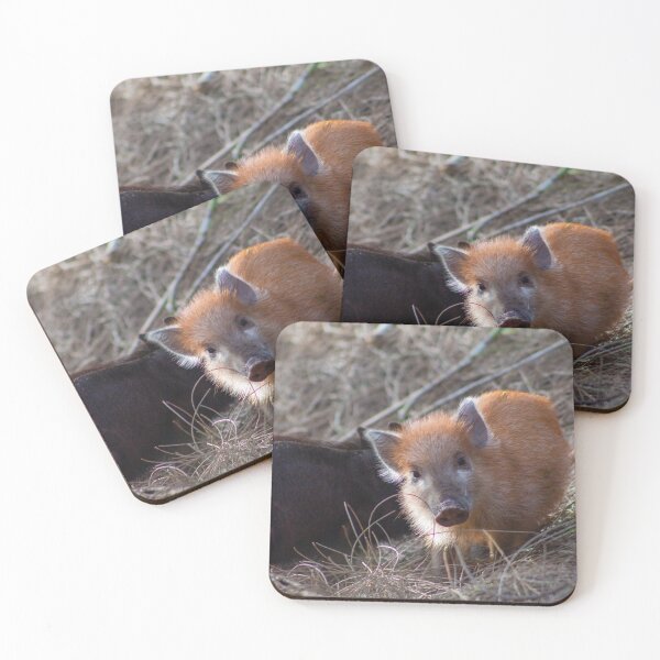 Item preview, Wild baby pigs designed and sold by Charles August.