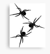 Spinne, Spinne, Spinne Leinwanddruck