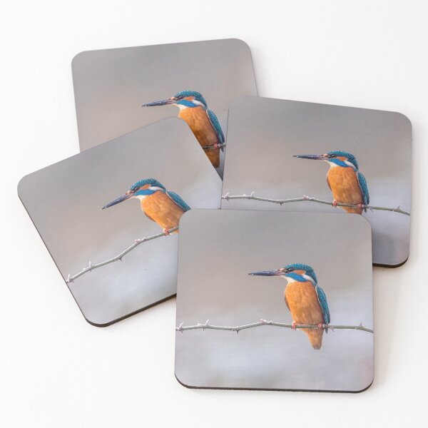 Item preview, Common Kingfisher designed and sold by Steve Liptrot Photography.
