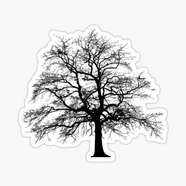 black-oak-tree-tree-of-life-tree-lover-and-nature-lover-sticker-by