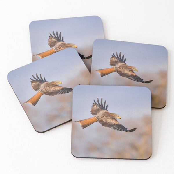Item preview, Red Kite (Milvus milvus) designed and sold by Steve Liptrot Photography.