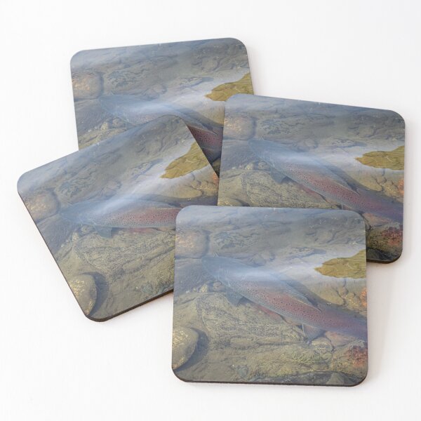 Item preview, A large taimen trout sitting in a shallow river in Mongolia designed and sold by SnapTPhotograph.