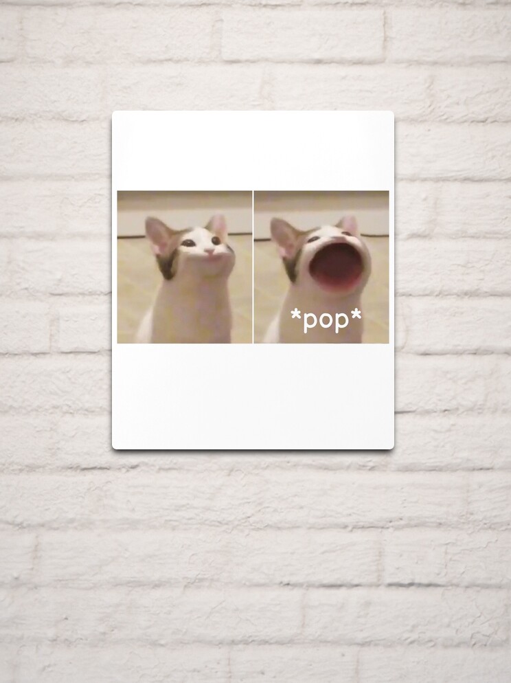 Pop Cat Meme Photographic Print for Sale by masoncarr2244