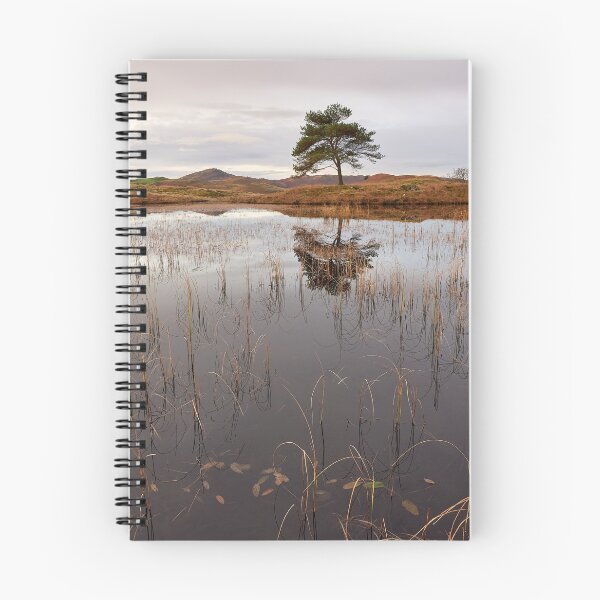 Item preview, Kelly Hall Tarn morning reflections designed and sold by Steve Miller.