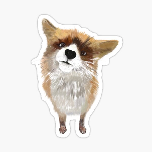 Produits Sur Le Theme Image Renard Redbubble