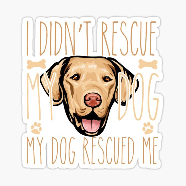 chesapeake bay retriever gifts